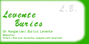 levente burics business card